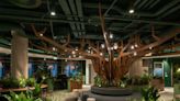 See inside Pinterest's quirky Dublin office, which has a pub and a workspace resembling a Celtic forest