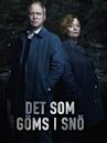 Det som göms i snö