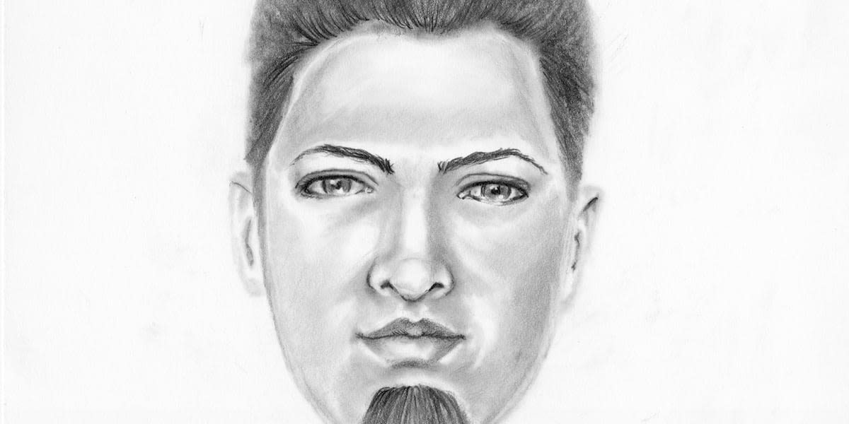 Sketch of armed robbery suspect released in Sumner County