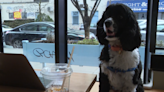 NYC dog café Boris & Horton to close Brooklyn location despite raising $250K in funds