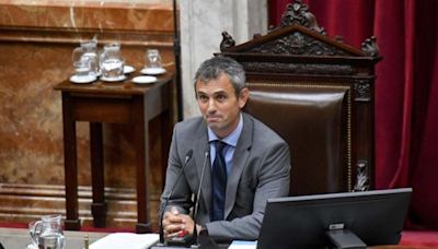 Martín Menem apuntó contra los senadores por dilatar el tratamiento de la Ley Bases