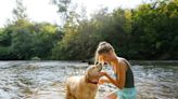 From paws to paddles: How swimming helps dogs beat the heat