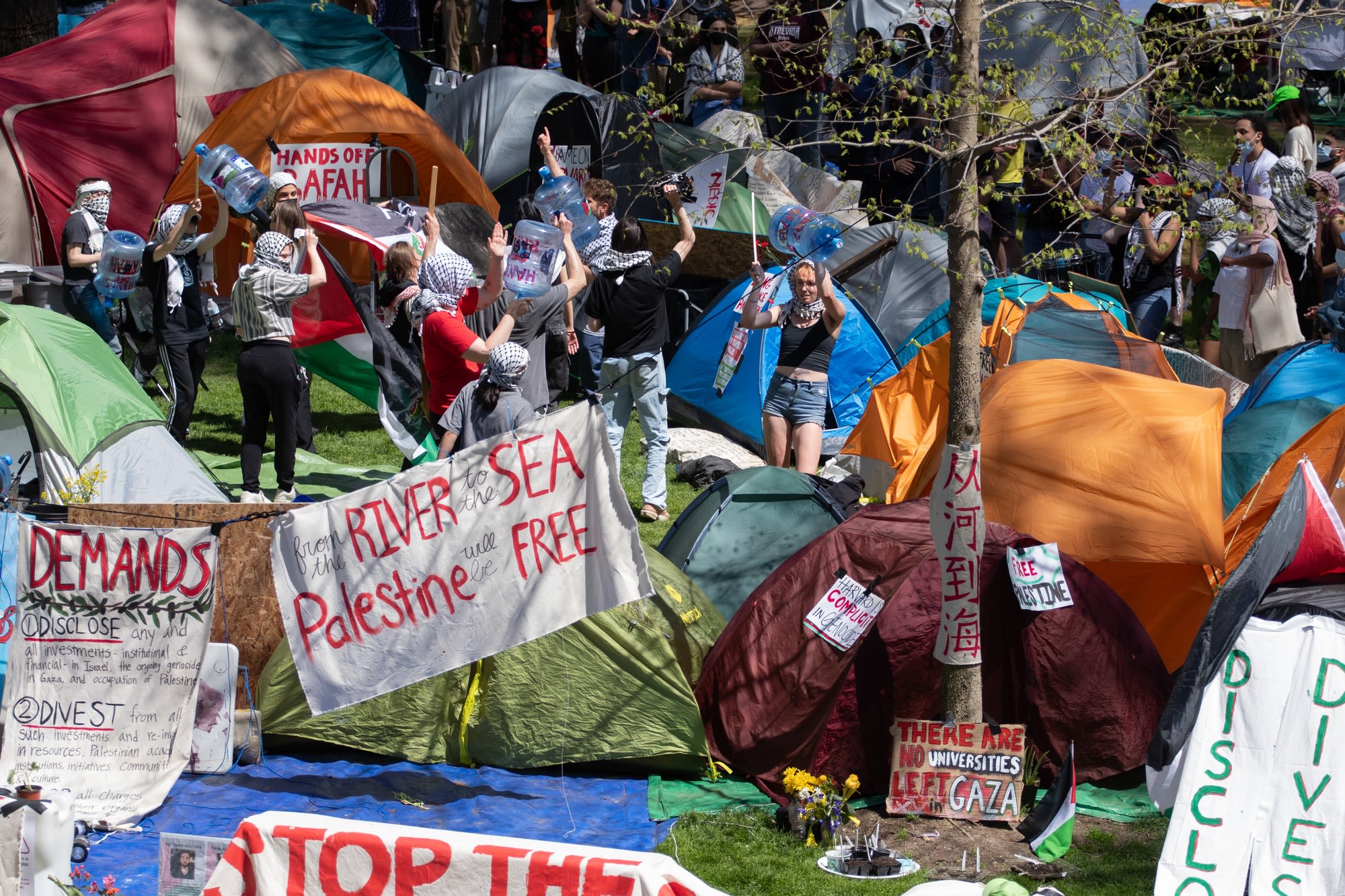 Harvard Encampment Members Refuse ID Checks, Raise Palestinian Flag as Tensions Rise | News | The Harvard Crimson