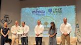 Tlalpan recibe por tercer año consecutivo reconocimiento como Ciudad Árbol del Mundo | El Universal
