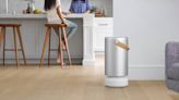 Molekule’s Air Pro is the most stylish air purifier I’ve ever seen
