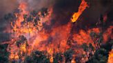 Feux de forêts : avec la canicule dans le Sud-Est, les pompiers sont sur le qui-vive