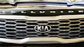 Kia recalls nearly 463,000 Telluride SUVs due to fire risk, urges consumers to park outside | Trib HSSN