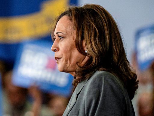 'Ludicrous': Donors leave call with Kamala Harris frustrated and annoyed