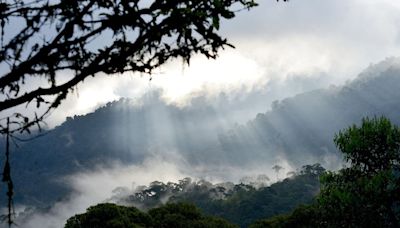 WWF Ecuador expresa preocupación por la inseguridad dentro de áreas protegidas del país