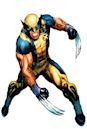 Wolverine (character)