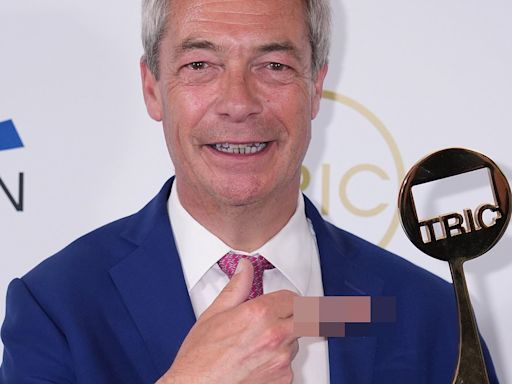 Nigel Farage makes thinly veiled swipe after being booed by crowd