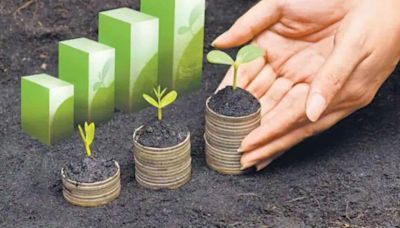 Why should you consider sustainable investing for secure financial future? | Mint