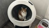 I purchased an automatic litter tray for my cats and it's changed my life
