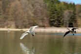 Kortright Centre for Conservation