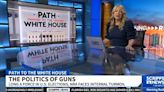 NRA's Influence in U.S. Politics: A Historical Perspective