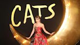 Taylor Swift’s Cat Olivia Benson Is Richer Than All of Us