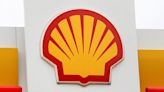 Shell halts construction of large biofuels plant in Holland