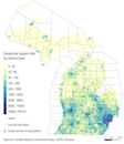 Demographics of Michigan