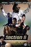 Section 8 (2022) movie poster