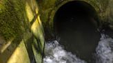 Water Companies Start To Admit You Will Be Charged More To Stop Sewage Dumping