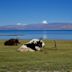 Lake Manasarovar