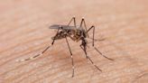 DOCUMENTO: Preocupante registro de casos de dengue en Puerto Rico