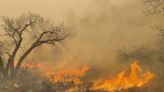 Al menos un muerto y casi medio millón de hectáreas devastadas por incendios en Texas