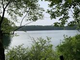 Walden Pond