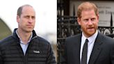Princes William and Harry Appear Separately for Award in Late Mother Princess Diana’s Name