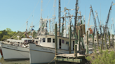 Congress considers 'Save Our Shrimpers Act': A lifeline for local shrimping industry