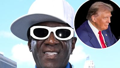 Flavor Flav Warns Snoop Dogg, Pitbull After Donald Trump's Pet Eating Claim - E! Online