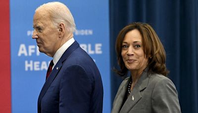 Biden has backed Harris. What happens next in US election?