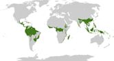 Tropical and subtropical moist broadleaf forests