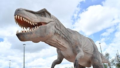 ¡Una experiencia espacial! Conoce el parque y museo El Meteorito en el Altiplano de SLP