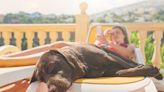 The Best Dog Sunscreens of 2022 (Because Pups Need SPF Too)