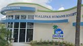 Daytona's Halifax Humane Society temporarily suspends services due to ill dogs