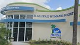 Daytona's Halifax Humane Society ID's cause of upper respiratory infection