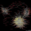 Social network analysis