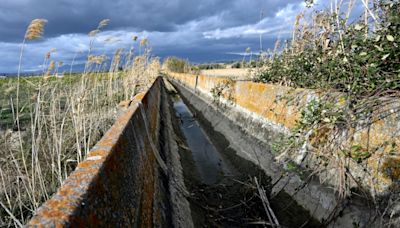 Drought in Sicily threatens grain fields, animal herds