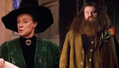 From Hagrid, Dumbledore, Minerva McGonagall: Harry Potter stars who are sadly no longer with us