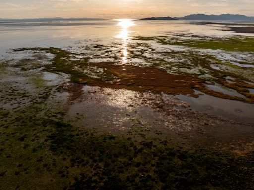 Despite two months’ worth of rain in two days, Utah’s summer precipitation is ‘underwhelming’