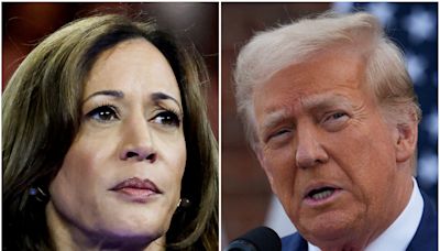 Harris and Trump set to debate in pivotal campaign test