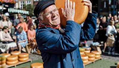 Como as mudanças climáticas podem acabar com a produção do queijo Gouda