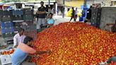 Tomato prices may ease in coming weeks on supplies from Andhra Pradesh and Karnataka