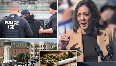 Kamala Harris told ACLU she’d fund trans surgeries for migrant inmates, decriminalize drugs and end ICE detainers during 2020 campaign