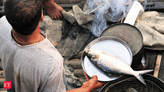 Hilsa are alive with the sound of democracy - The Economic Times