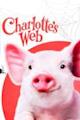 Charlotte's Web