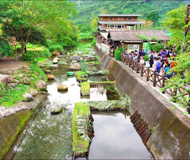 搶1.83億「農粉幣」 花蓮今起3場說明會