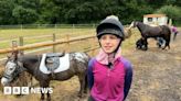 Dressage course hopes to boost diversity in sport