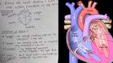 This student’s heart diagram has the Internet rolling with laughter: ‘Priya, Namita, Harita…’